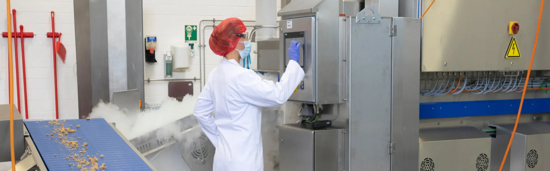 Schnelles Frosten von Fleischalternativen