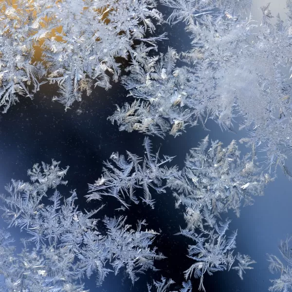 Frost_am_Fenster